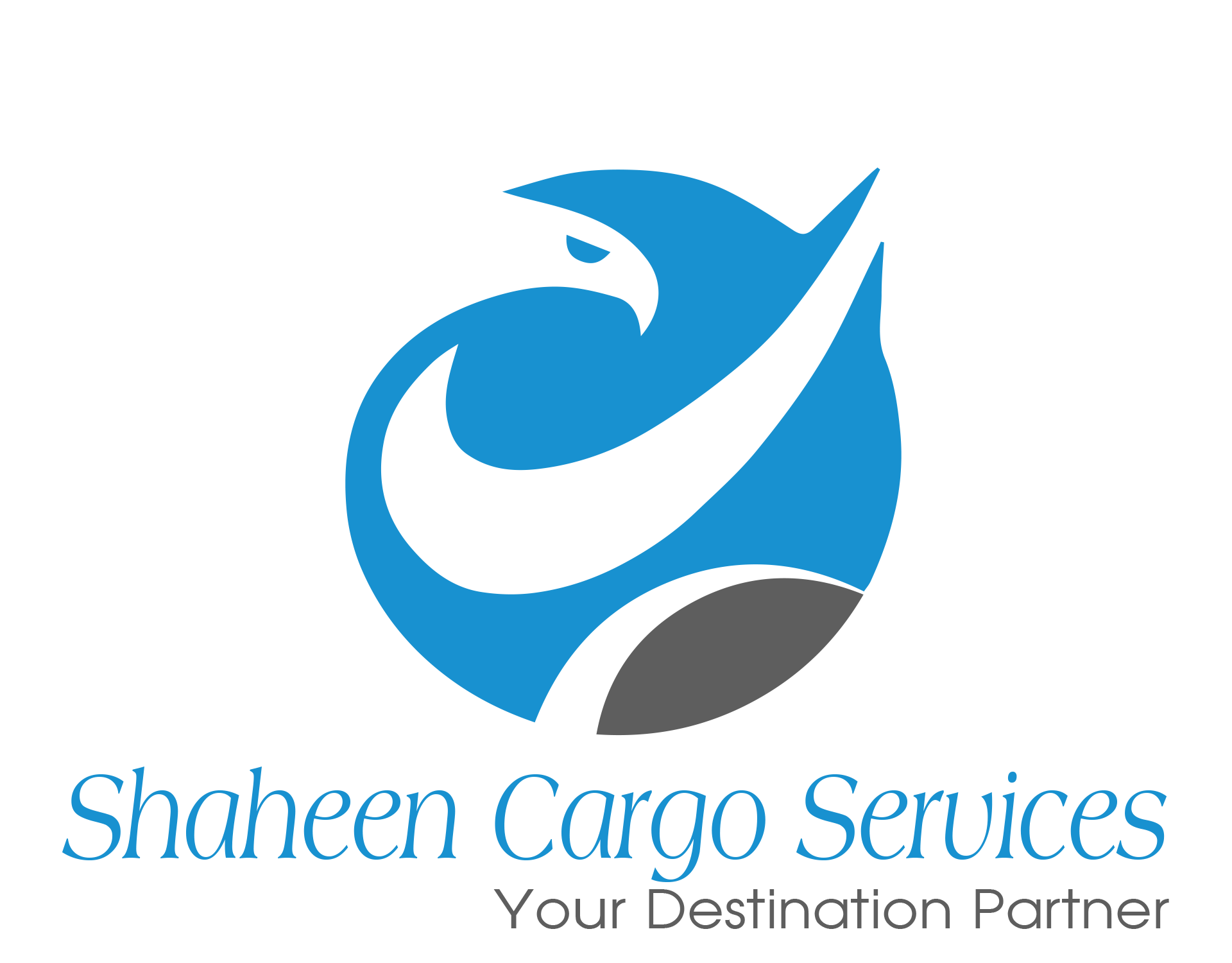 Shaheen Cargo Services